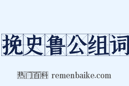 挽史鲁公组词是什么意思的图片